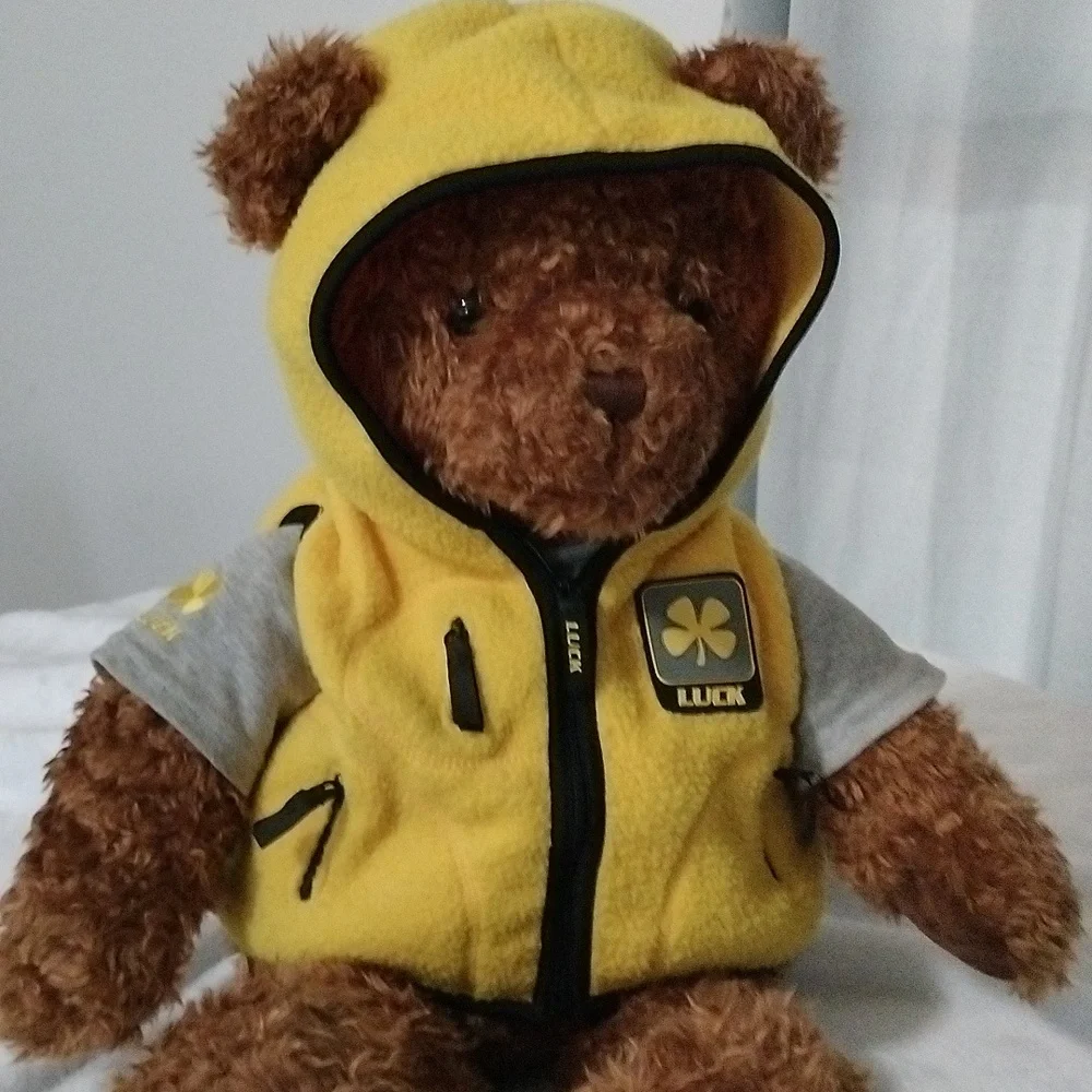 Wish Bear Luck limited edition